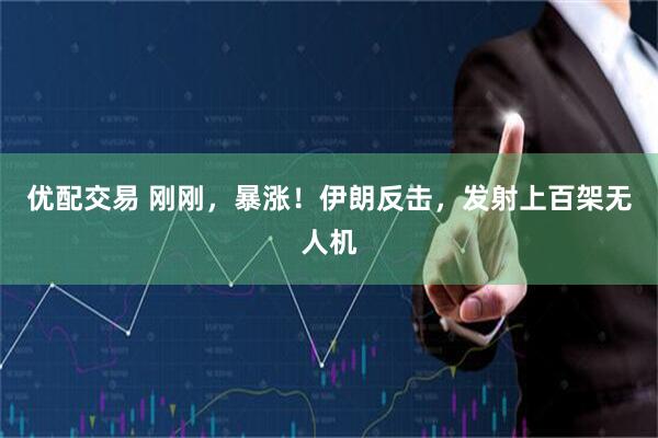 优配交易 刚刚，暴涨！伊朗反击，发射上百架无人机