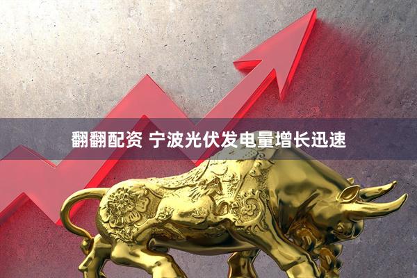 翻翻配资 宁波光伏发电量增长迅速
