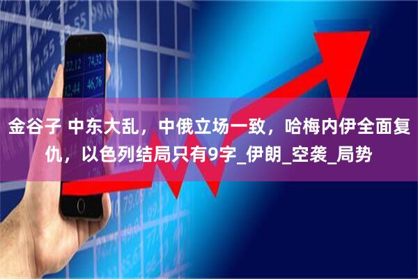 金谷子 中东大乱，中俄立场一致，哈梅内伊全面复仇，以色列结局只有9字_伊朗_空袭_局势