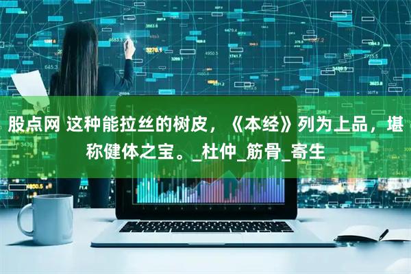 股点网 这种能拉丝的树皮，《本经》列为上品，堪称健体之宝。_杜仲_筋骨_寄生