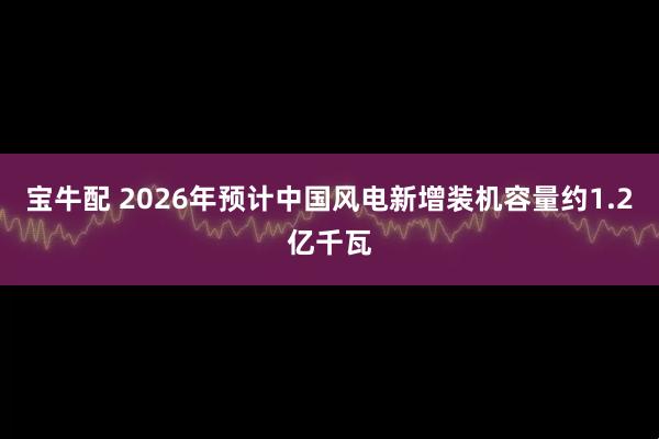 宝牛配 2026年预计中国风电新增装机容量约1.2亿千瓦