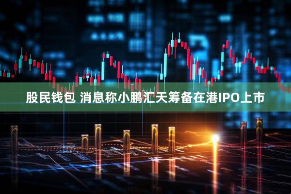 股民钱包 消息称小鹏汇天筹备在港IPO上市
